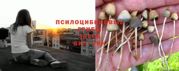 герыч Наволоки