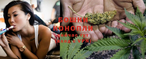 прущие грибы Анжеро-Судженск